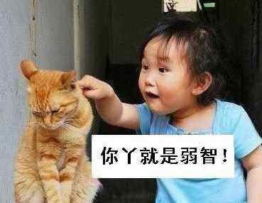 IMG20130718164927.jpg