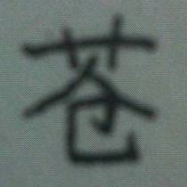 苍