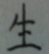 生