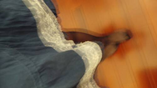 IMG20130820101531.jpg