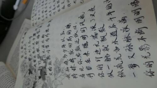 IMG20130822145303.jpg