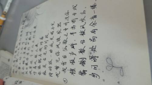 IMG20130822145333.jpg
