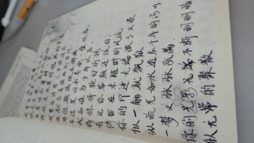 IMG20130822145356.jpg
