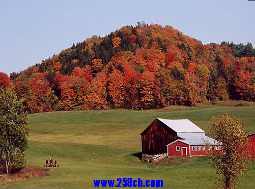Vermont-Farm.jpg