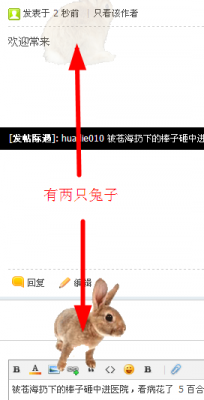 梁兔子.png