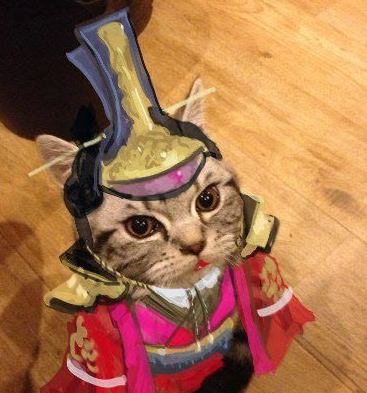 �ճ�����Ψ�Ҳ���